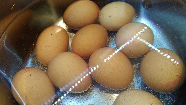 Boiling Eggs in Pot